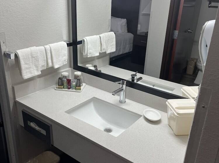חדר סטנדרט מותאם לאדם עם מוגבלויות, Lea County Inn