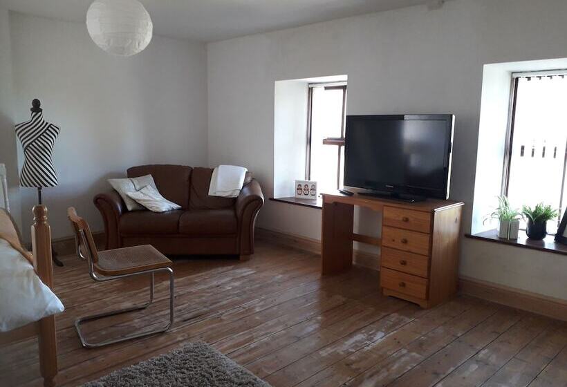 اتاق استاندارد, Melin Tregib
