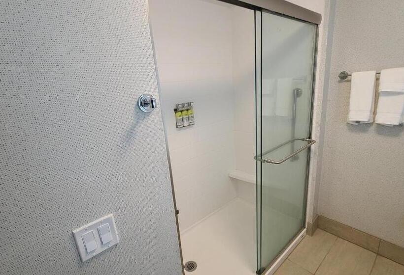 이그제큐티브 룸 킹사이즈 침대, Holiday Inn Express & Suites   Chico, An Ihg