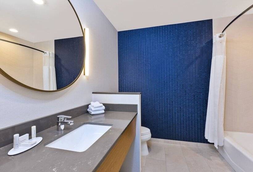 Suite, Fairfield Inn & Suites By Marriott Cincinnati Airport South/florence