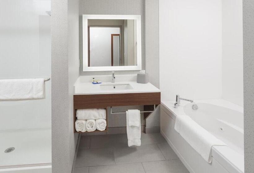 스위트 킹사이즈 침대, Holiday Inn Express & Suites   Hudson I 94, An Ihg