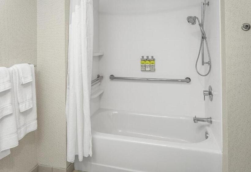 장애인을 위한 킹사이즈 침대 스탠다드 룸, Holiday Inn Express & Suites   Hudson I 94, An Ihg