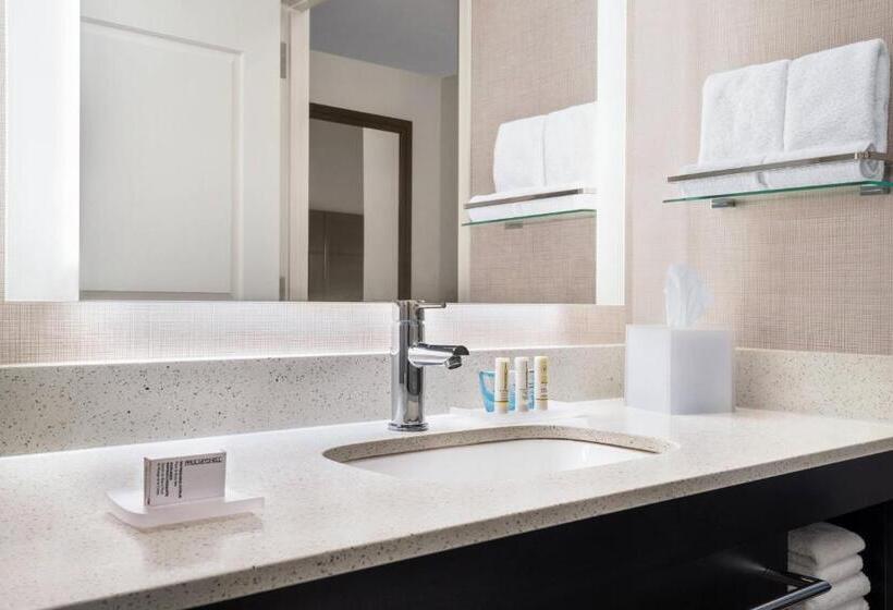 Люкс, Residence Inn By Marriott Des Moines Ankeny