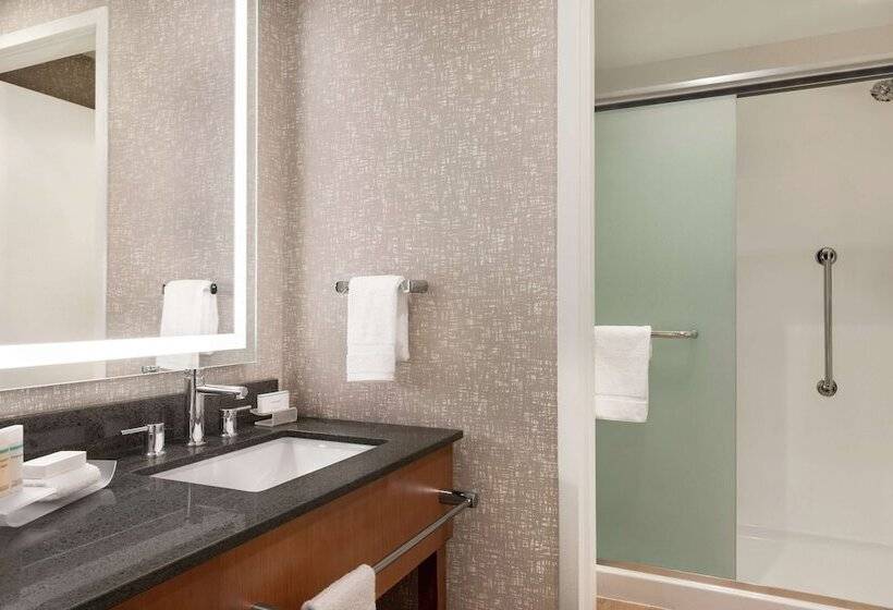 Студия Стандарт Двуспальная Кровать, Homewood Suites By Hilton Wilmington Downtown