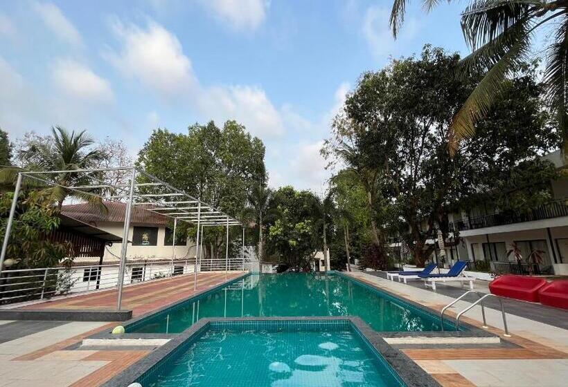 Номер Премиум, The Byke Royal Pearl Anjuna