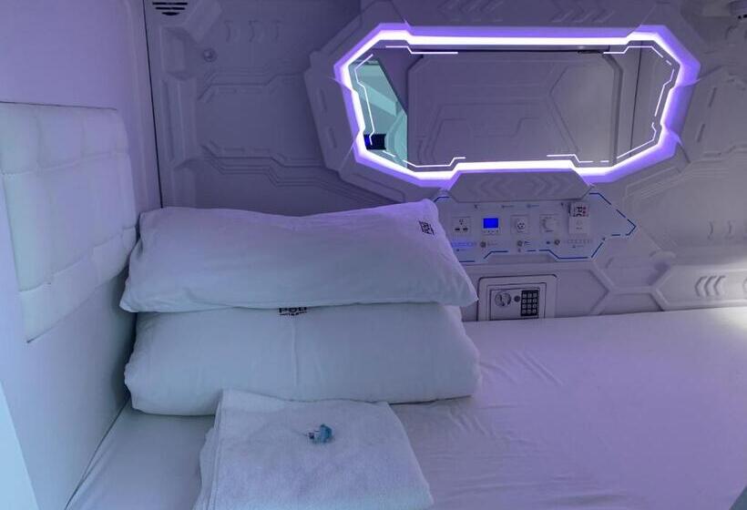 공동 객실, Pod Inn