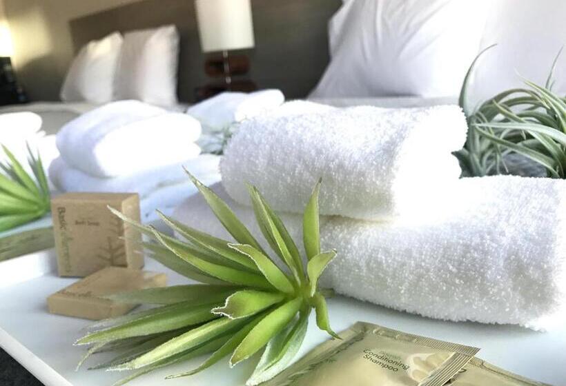 스탠다드 룸 킹사이즈 침대, Airport Inn