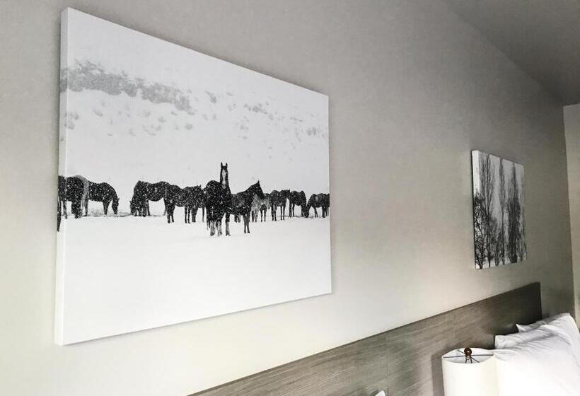 스탠다드 룸, Airport Inn