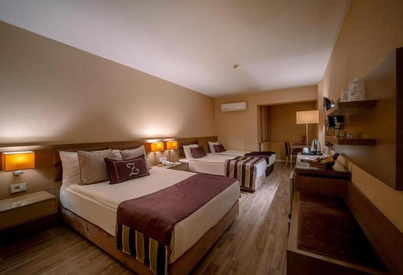 اتاق خانوادگی, The New Hotel Zeybek