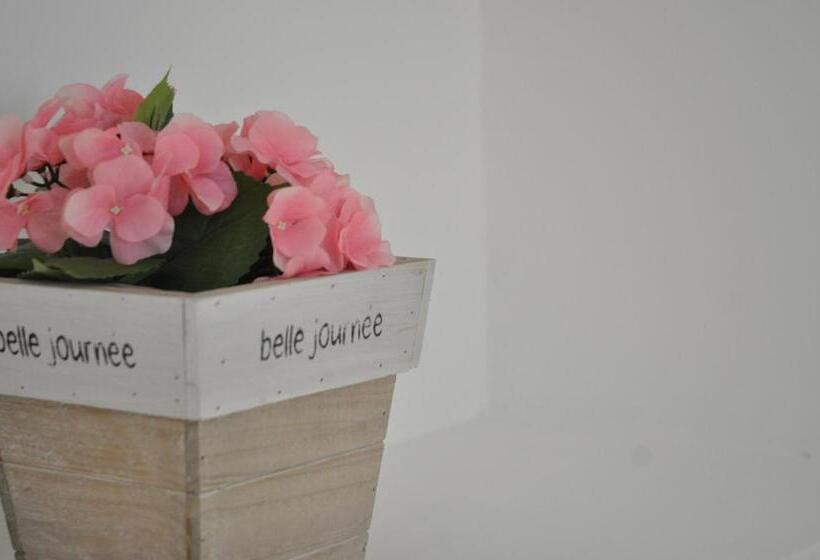 اتاق استاندارد, Mimi B&b