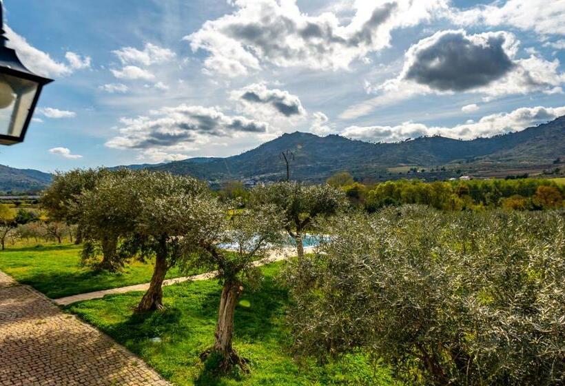اتاق استاندارد با چشم‌انداز کوهستان, Quinta Do Quinto