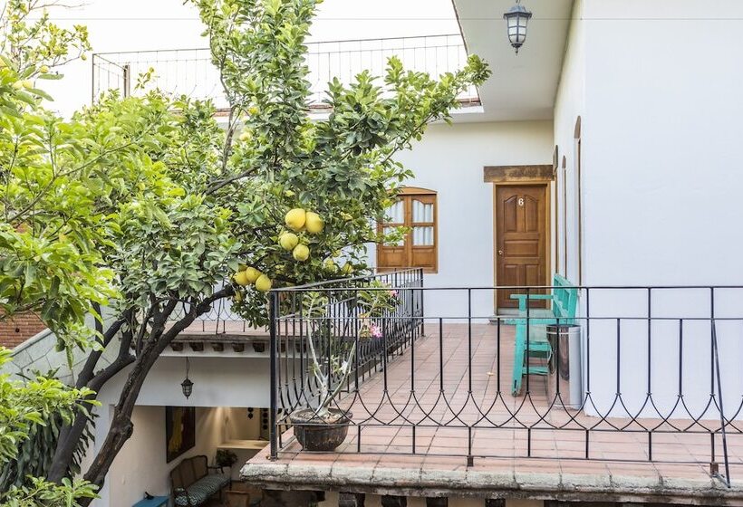 Номер Стандарт, Nana Vida Hotel Oaxaca