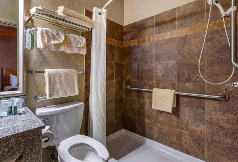 适合残疾人使用的标准间, Best Western Canyon De Chelly Inn