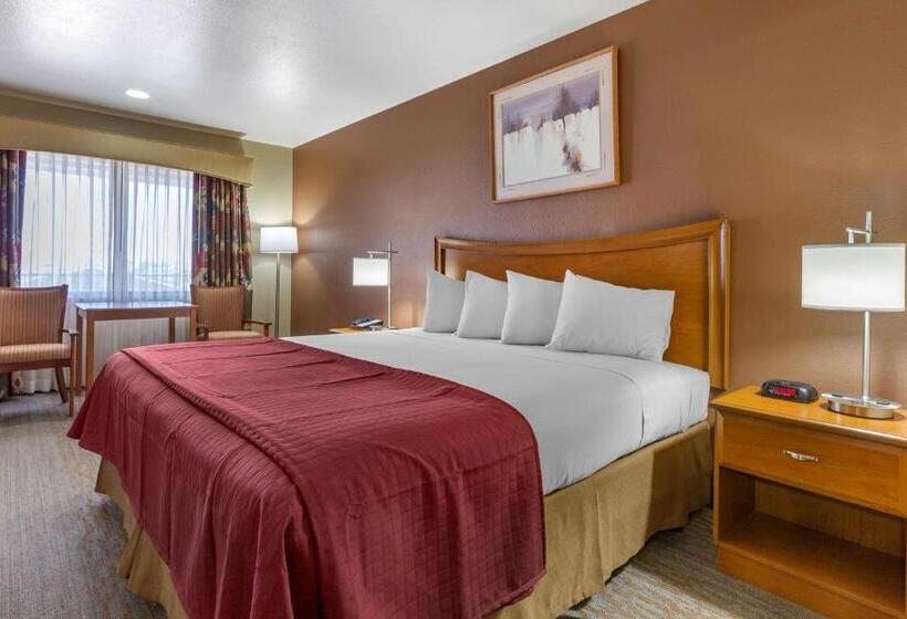 带大床的标准间, Best Western Canyon De Chelly Inn