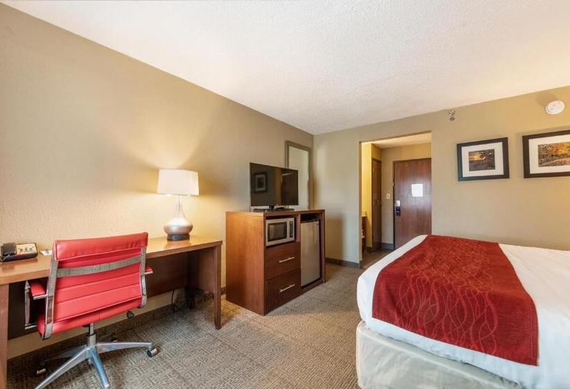 Стандартный Номер Кровать Кинг, Comfort Inn Mayfield Heights Cleveland East