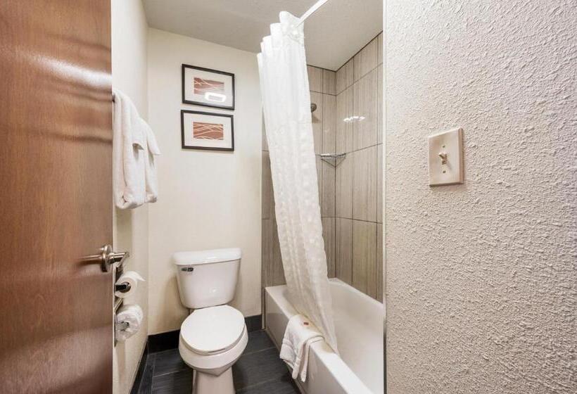 Номер Стандарт, Comfort Inn Mayfield Heights Cleveland East
