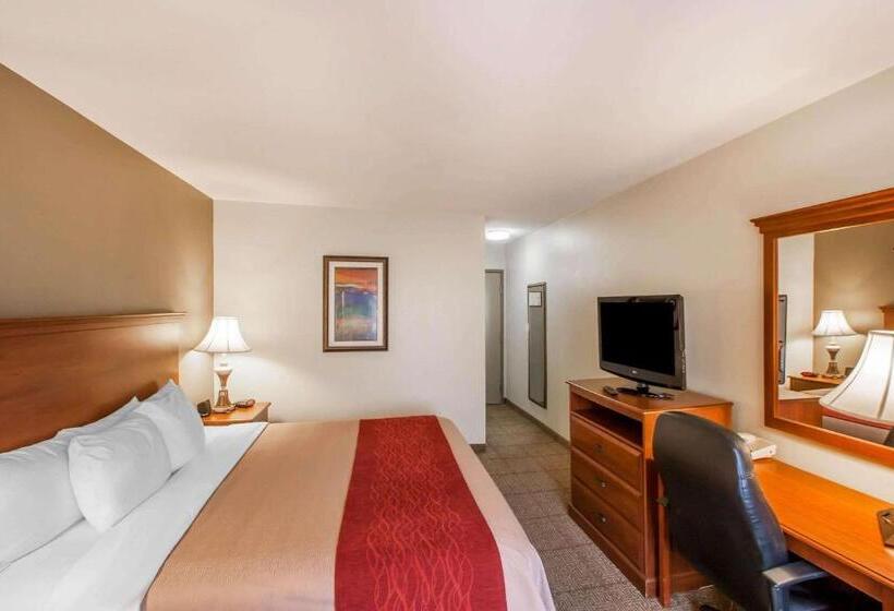 带大床的标准间, Quality Inn & Suites Germantown North