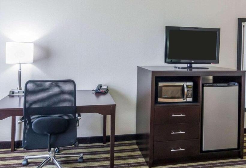 اتاق استاندارد با تخت بزرگ, Quality Inn & Suites