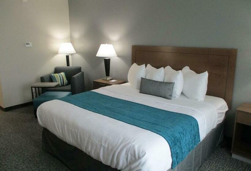 스탠다드 룸 주방구비, Best Western Plus Executive Residency Marion