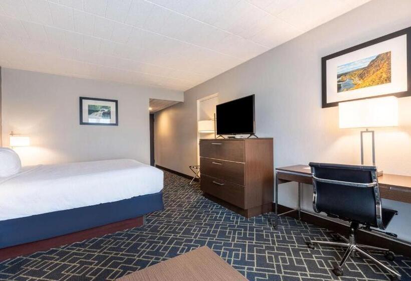 Номер Стандарт Кровать Кинг Адаптированный для Инвалидов, Best Western Hunt S Landing Hotel Matamoras Milford