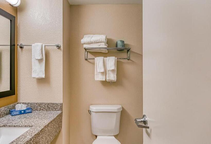 Номер Стандарт, Trident Inn & Suites New Orleans