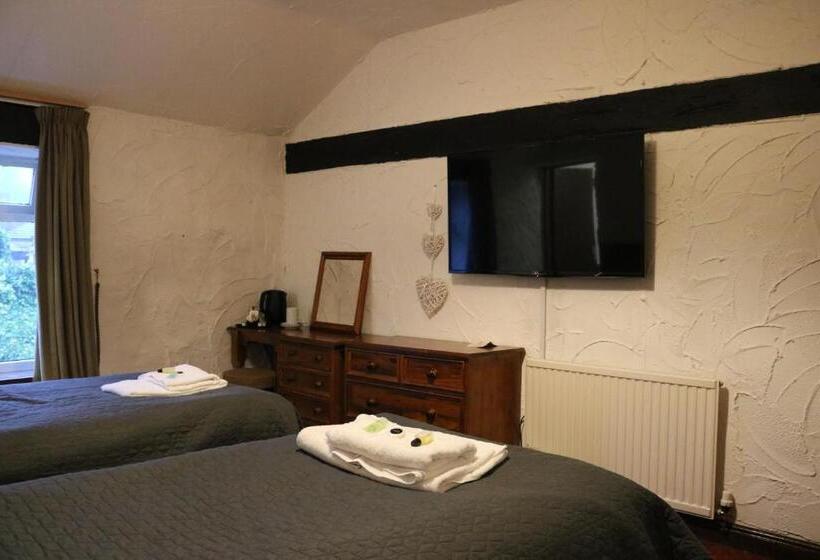 Номер Стандарт, Black Dog Inn