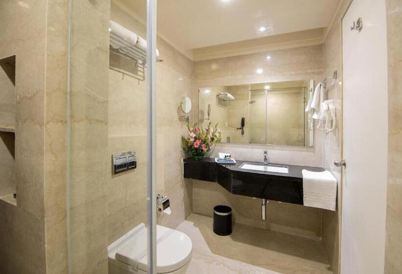 اتاق اجرایی سه نفره, Ziona Luxurious