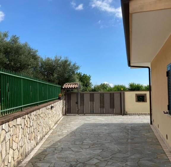 استودیوی استاندارد, L’ulivo