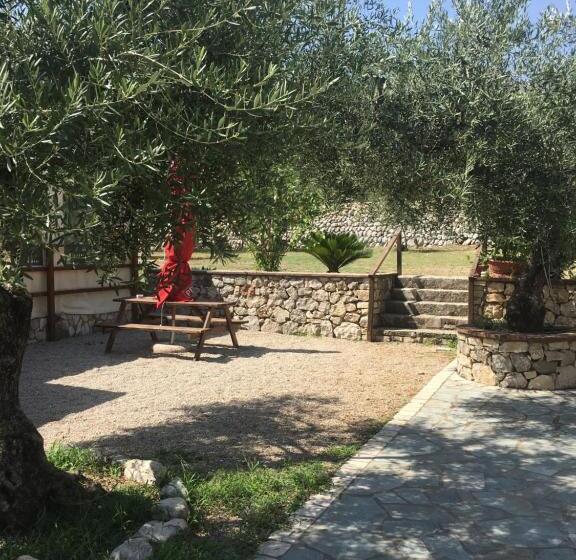 استودیوی استاندارد, L’ulivo