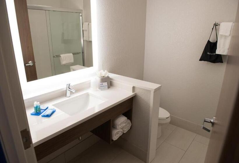 Номер Стандарт Кровать Квин Адаптированный для Инвалидов, Holiday Inn Express & Suites   Warsaw   E Center, An Ihg