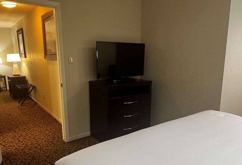 Suite Lit King, Baymont By Wyndham Houston/westchase