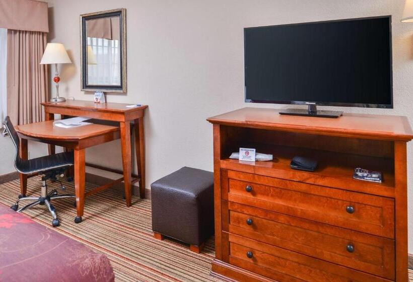 스탠다드 룸 킹사이즈 침대, Best Western Plus Rama Inn