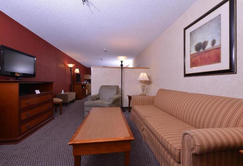 스탠다드 룸 킹사이즈 침대, Best Western Plus Rama Inn