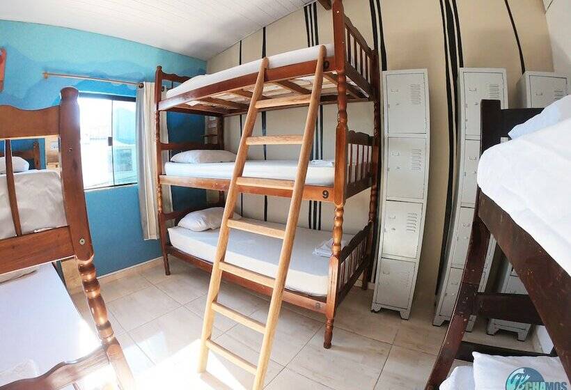 Кровать в Общей Комнате, Chamos Hostel Cultural