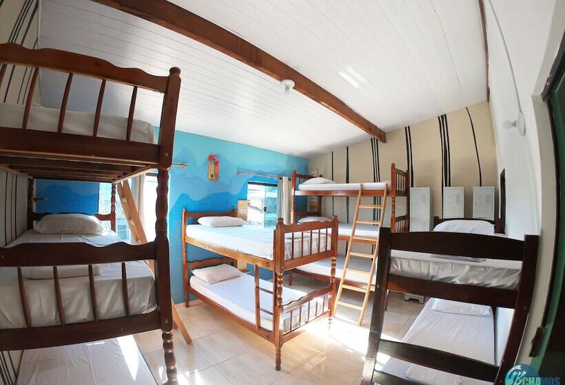 Кровать в Общей Комнате, Chamos Hostel Cultural