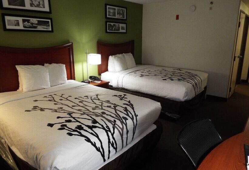 스탠다드 룸 더블 침대 2개, Sleep Inn & Suites