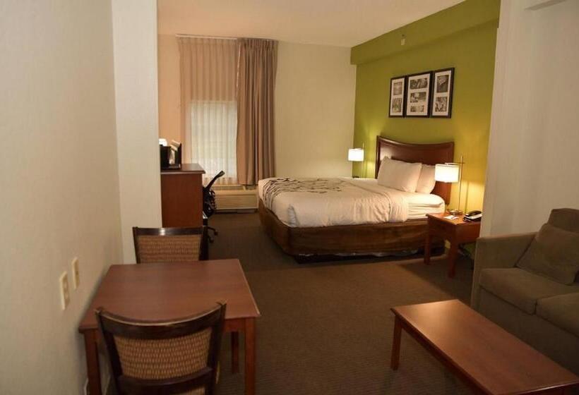 장애인을 위한 킹사이즈 침대 스탠다드 룸, Sleep Inn & Suites