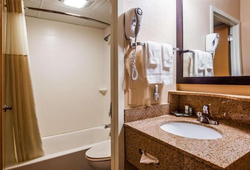 اتاق استاندارد با تخت بزرگ, Best Western Cape Cod