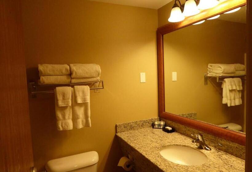 Номер Стандарт, Best Western Plus Vintage Valley Inn