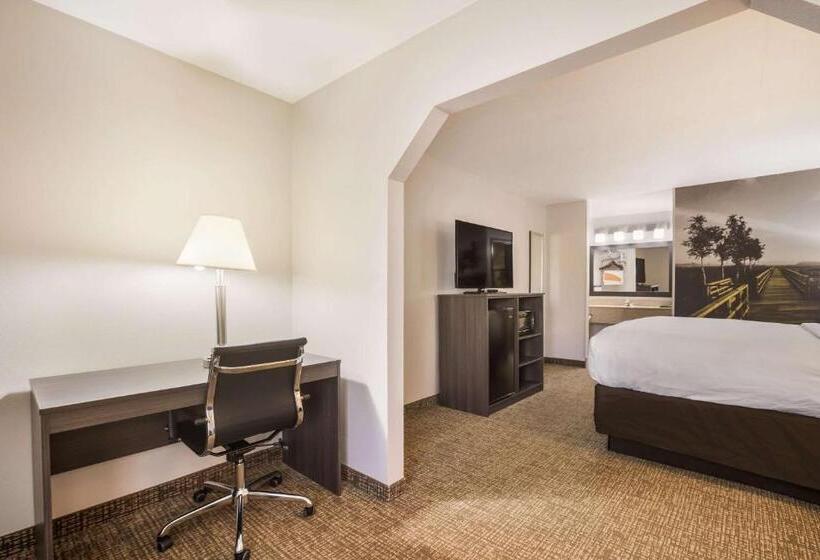 带大床的套房, Clarion Pointe Forsyth I75