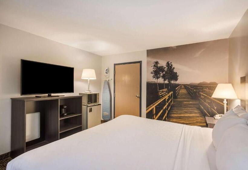 带大床的套房, Clarion Pointe Forsyth I75