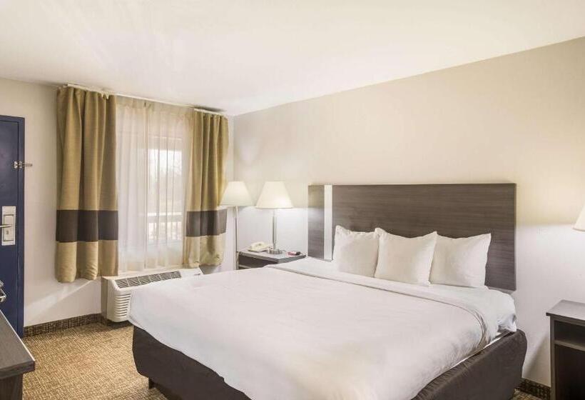 장애인을 위한 킹사이즈 침대 스탠다드 룸, Clarion Pointe Forsyth I75