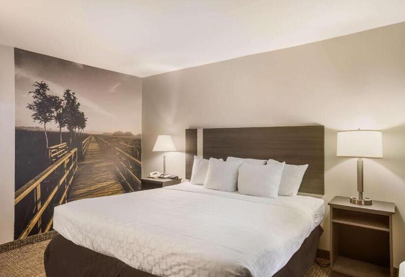 장애인을 위한 킹사이즈 침대 스탠다드 룸, Clarion Pointe Forsyth I75