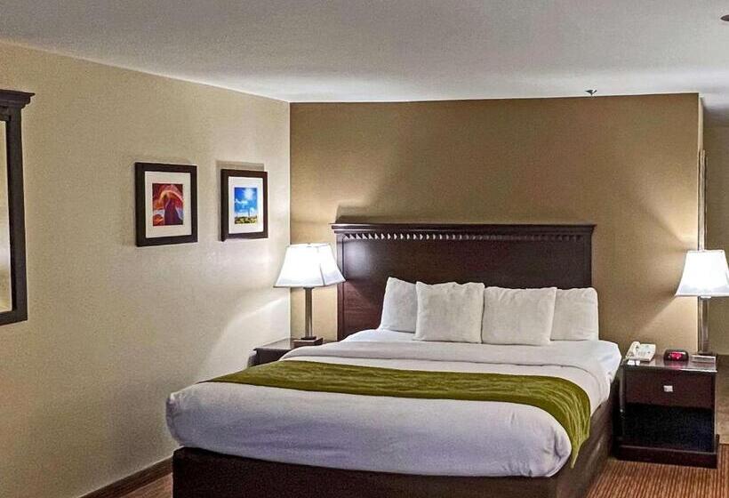 스탠다드 룸, Comfort Inn West Phoenix At 27th Ave And I I0