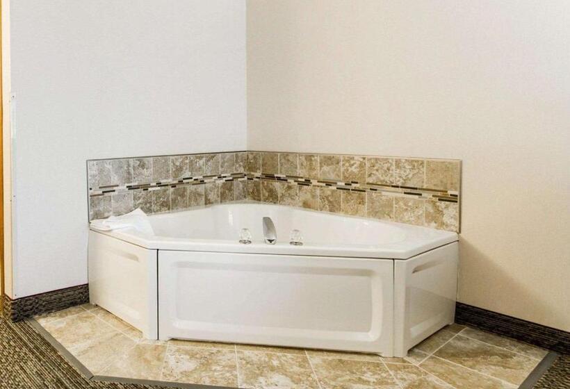Стандартный Номер Кровать Кинг, Quality Inn & Suites Stoughton  Madison South
