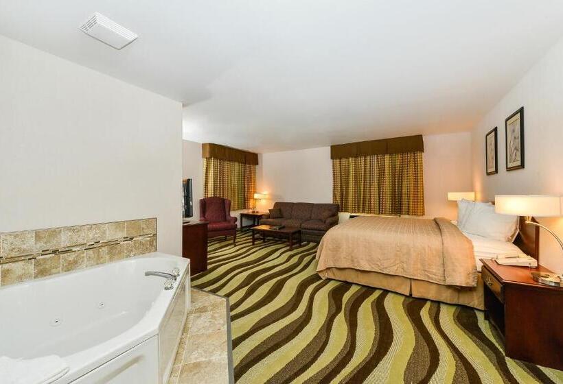 Люкс Кровать Кинг, Quality Inn & Suites Stoughton  Madison South