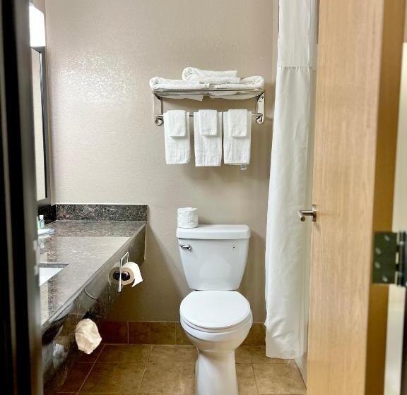 Люкс Кровать Кинг, Quality Inn & Suites Wisconsin Dells Downtown   Waterparks Area