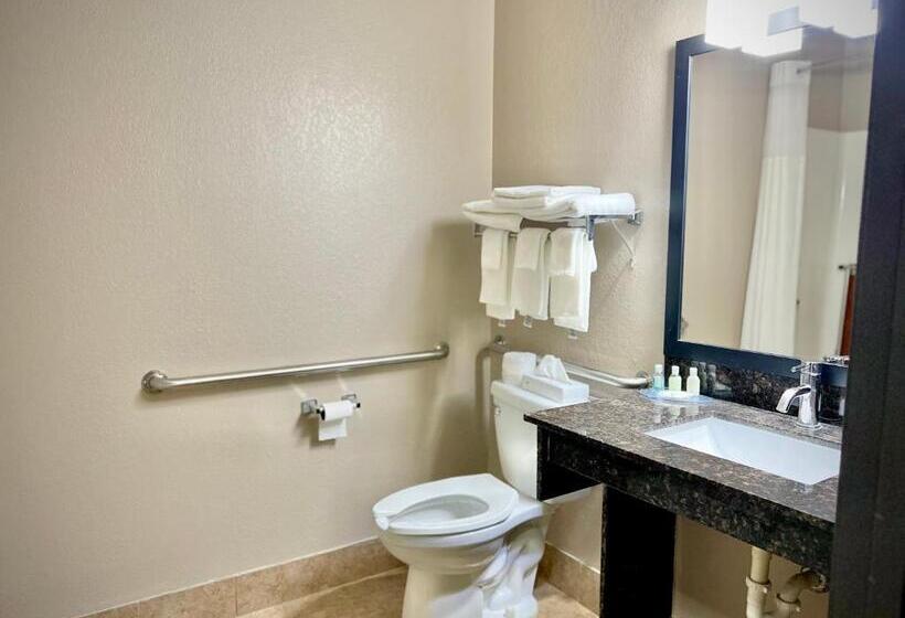Номер Стандарт Адаптированный для Инвалидов, Quality Inn & Suites Wisconsin Dells Downtown   Waterparks Area