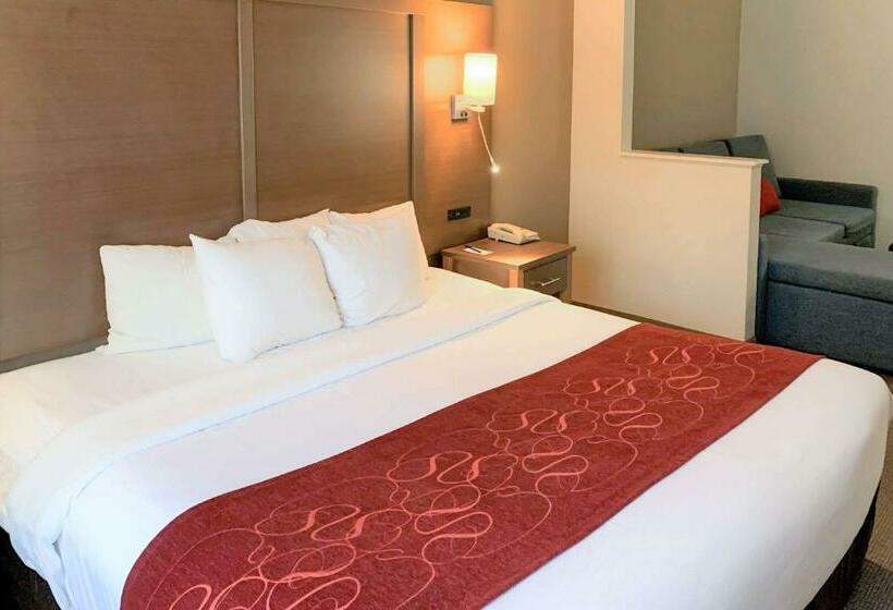 Suite King Bed, Comfort Suites Bush Intercontinental Airport