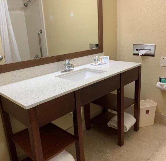 سوئیت با تخت بزرگ, Comfort Suites Bush Intercontinental Airport